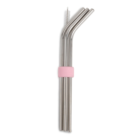 set-of-8-stainless-steel-reusable-straws-and-silicone-straw-holder-j4 26310_01_1f9569b0-07fb-47d7-ab82-84ddca6251c1.jpg